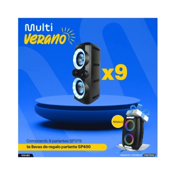 COMBO PARLANTE 300W NEON X SP379 +PARLANTE 250W NE