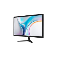 MONITOR 19