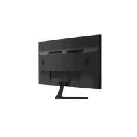 MONITOR 22