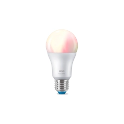 IOT WIZ FOCO COLOR 220V 8W A60 E27